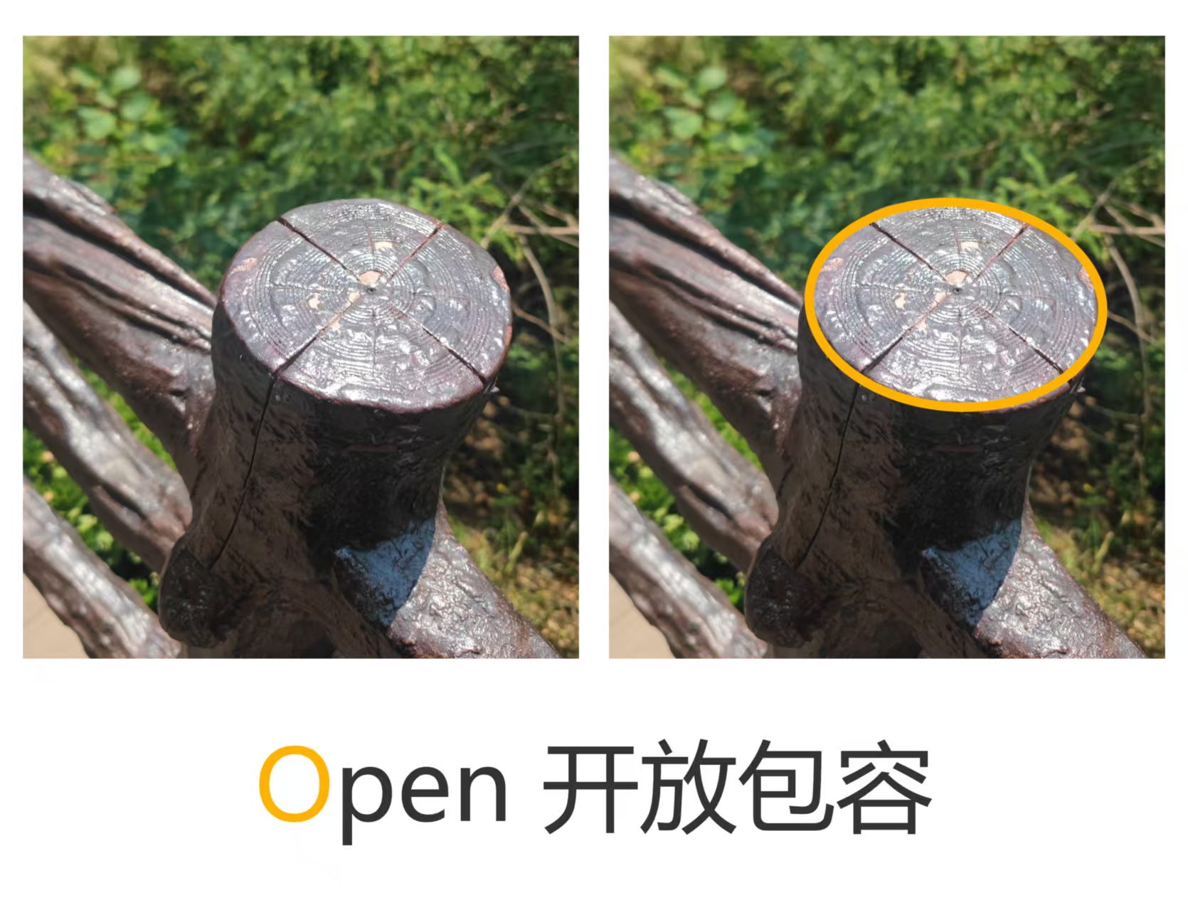 全球集装罐供应商-思多而特集装罐事业部(Stolt Tank Containers)河南团建绮梦，铸物流辉煌  21